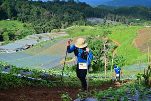 BIB: 
                            <button type="button" onclick="openModal(13382710)" class="btn btn-primary btn-sm float-right btn-popup" data-toggle="modal" data-target=".modal-high-quality">
                        <i class="fas fa-shopping-cart"></i> Add to Cart
                    </button>
                                            <button type="button" onclick="isThisMe(13382710, true)" class="btn btn-success btn-sm float-right btn-popup btn-isme hidden" data-toggle="tooltip" data-placement="bottom" title="นี่คือรูปของคุณใช่ไหม คลิกที่นี่เพื่อเอาเข้าอัลบั้ม">
                        <i class="fas fa-plus"></i> Add to album
                    </button>
                    <button type="button" onclick="isThisMe(13382710, false)" class="btn btn-warning btn-sm float-right btn-popup btn-isnotme hidden">
                        <i class="fas fa-ban"></i> Remove from album
                    </button>